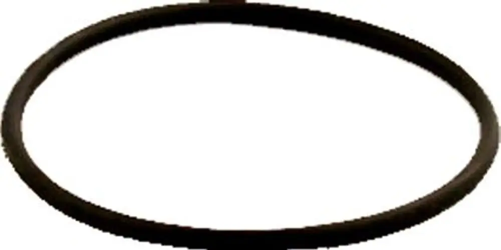 Schwarzer O-Ring auf weißem Hintergrund, typisches Dichtungsmaterial, möglicherweise von der Marke Wolf.